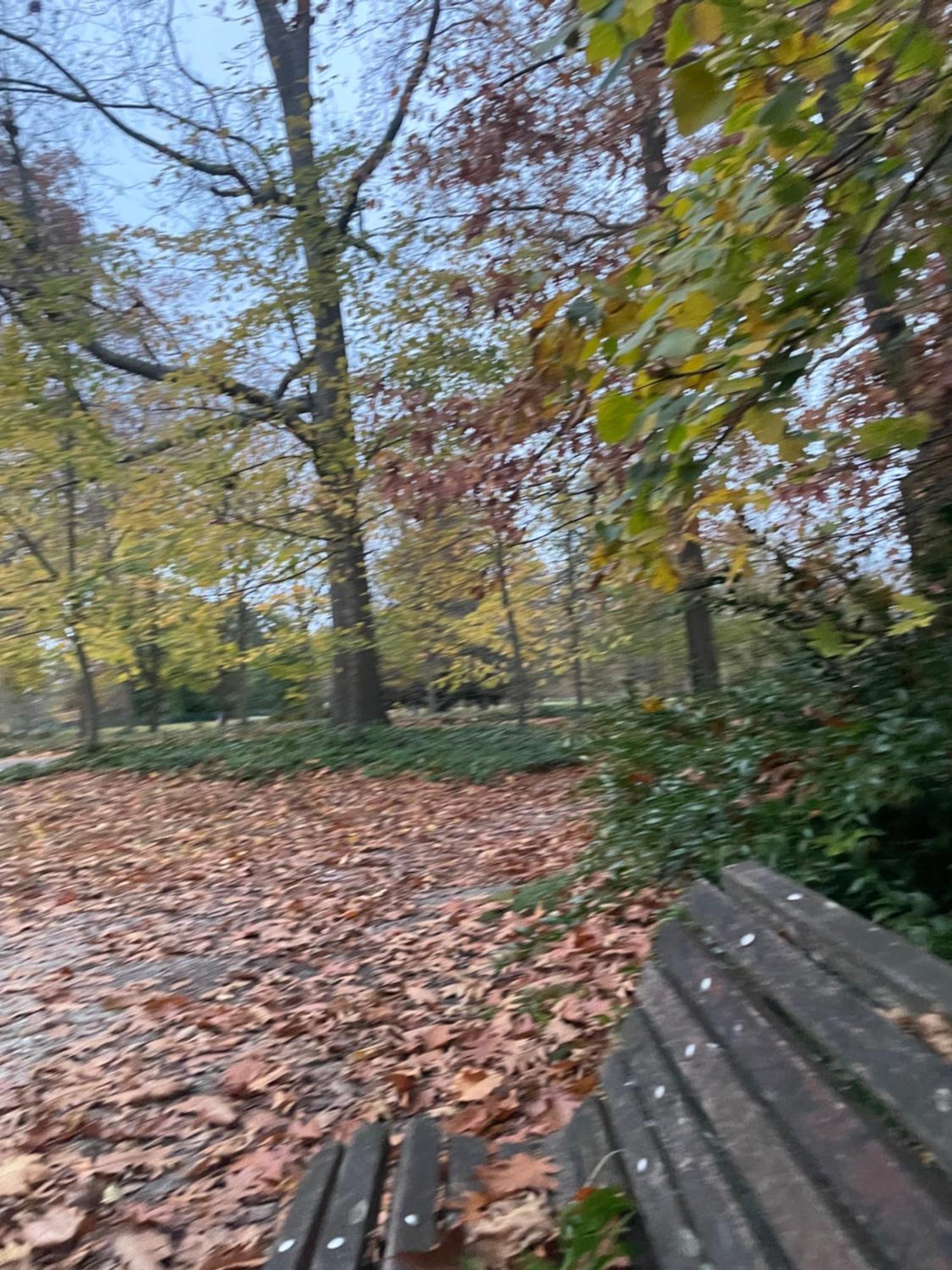 La Villa Bocage Bordeaux Bagian luar foto